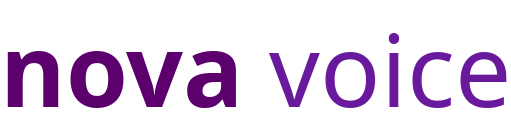 NV Logo